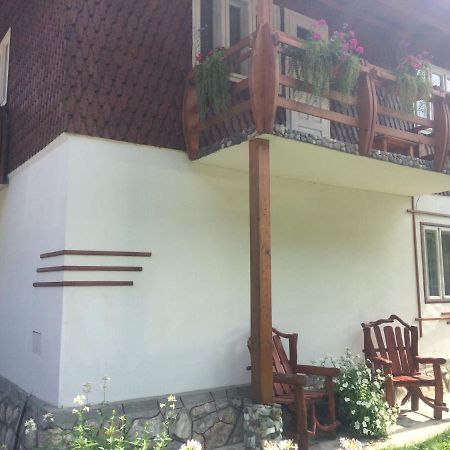 Casa De Vacanta Joldes Hotel Garda de Sus Bagian luar foto