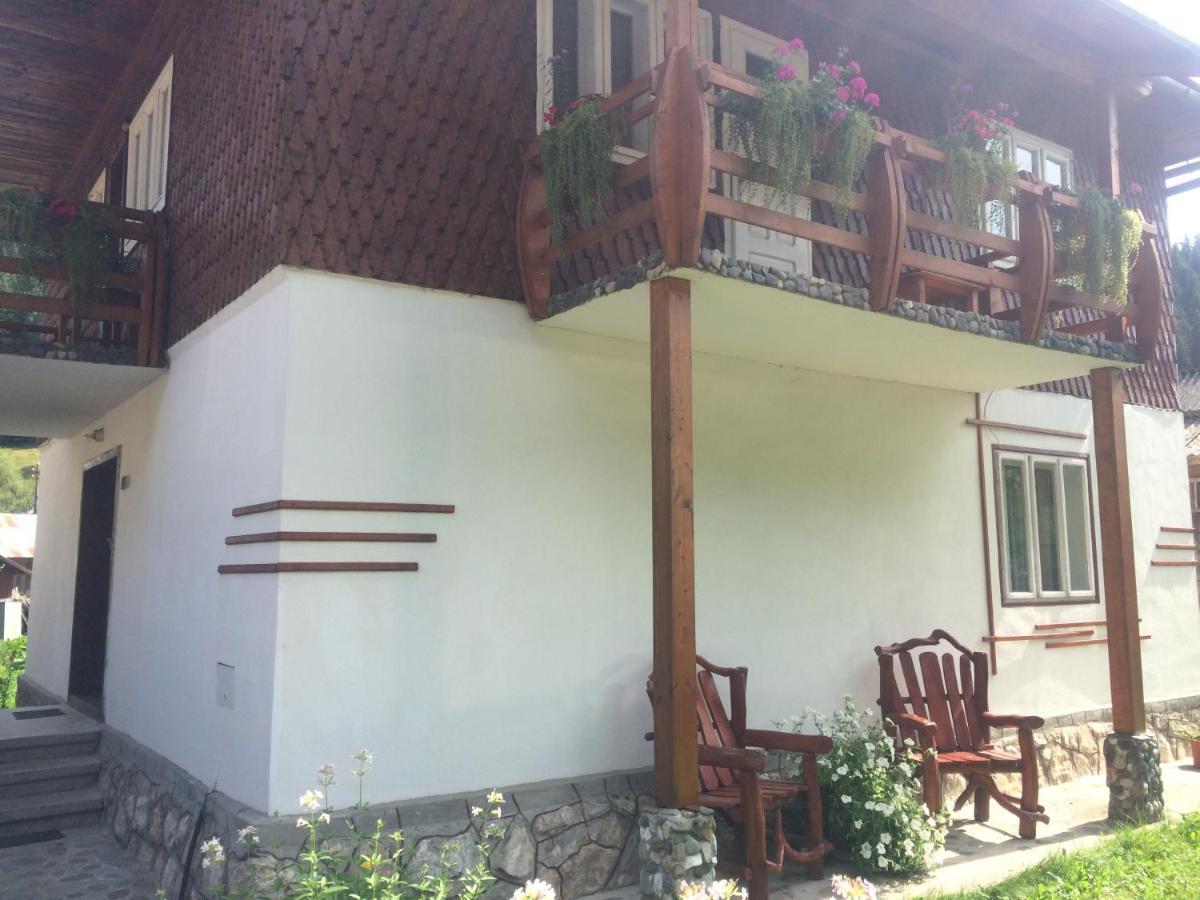 Casa De Vacanta Joldes Hotel Garda de Sus Bagian luar foto